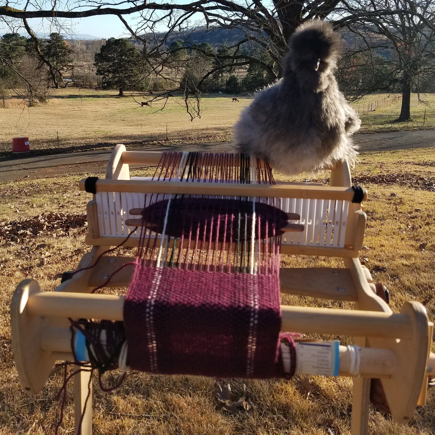 Rigid Heddle Weaving: Beyond Beginner